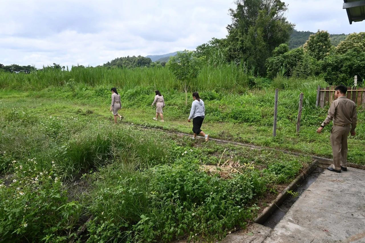 catalogs_file_1563_7_11_566353.webp