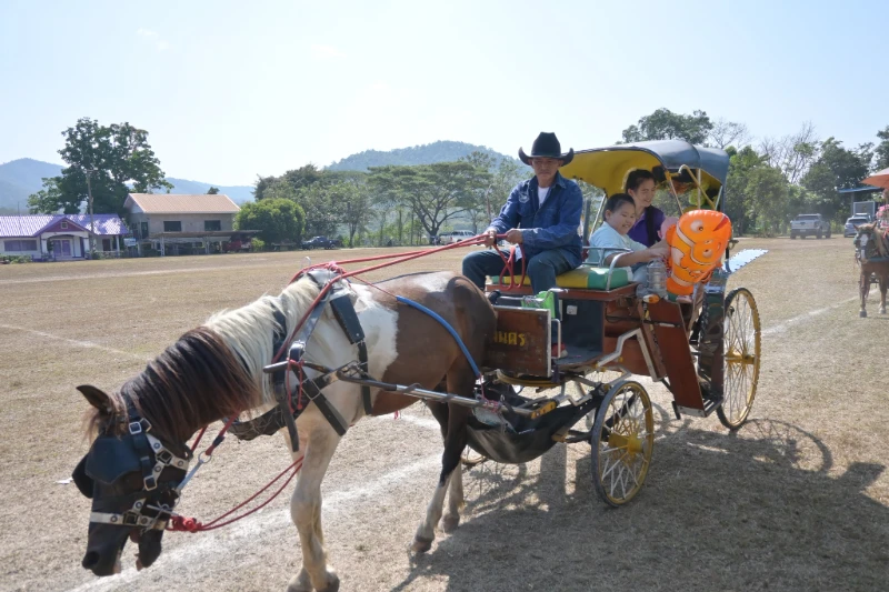 catalogs_file_231_34_4_435379.webp